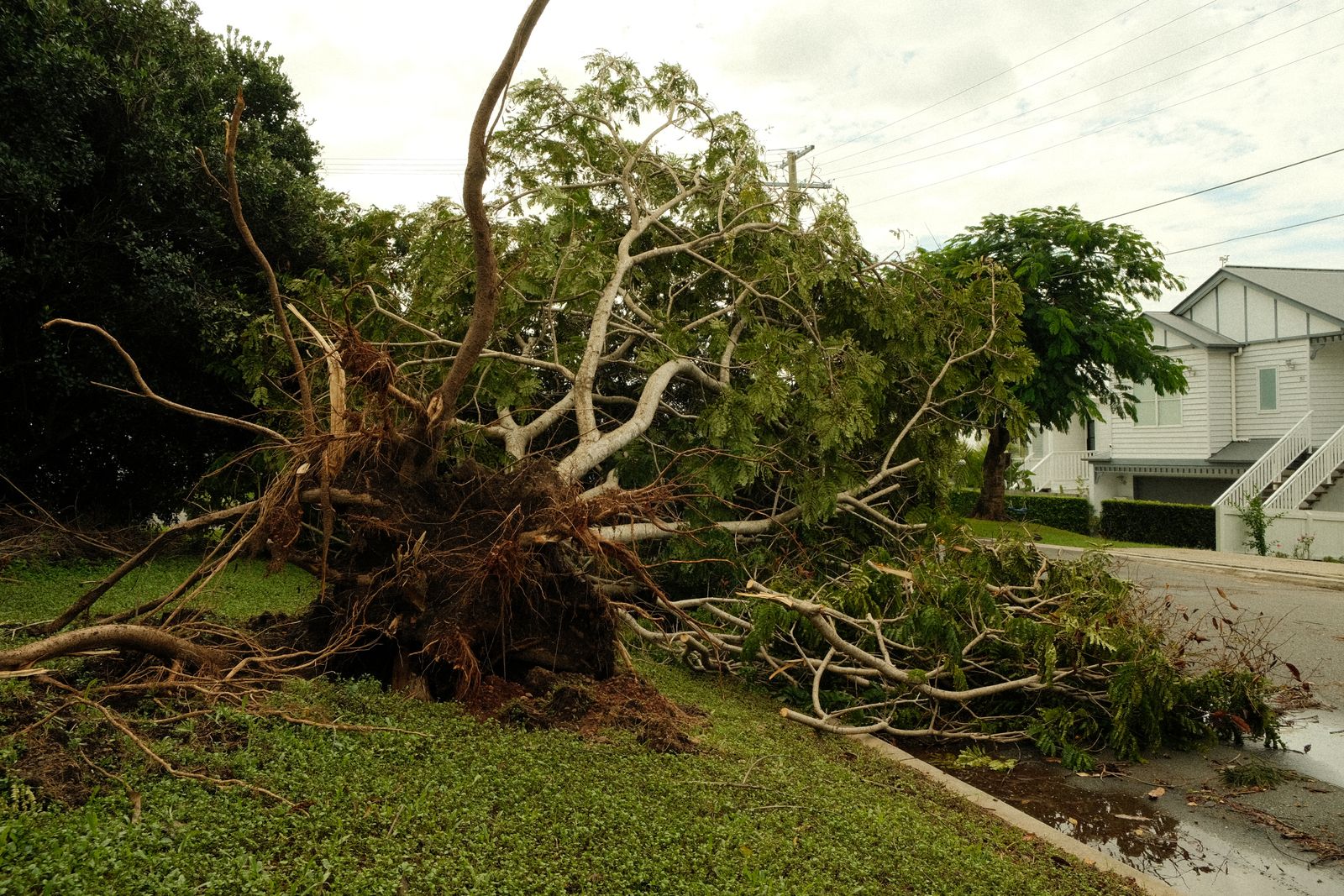 Adjuster documenting property damage